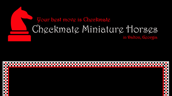 checkmate_back_1smallweb.png