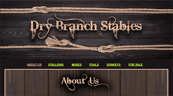 dry_branch_ranch_web.png