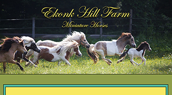 ekonk_hill_farm_back_1smallweb_site.png