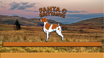 fcbrittanyspaniel_back_1goldwithtrimsmallwebsitenew.png
