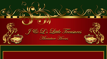 jl_treasures_back_1smallweb_site.png