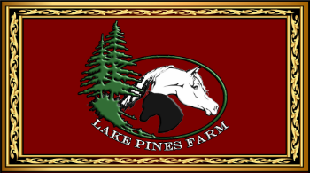 lake_pines_back_small_website.png