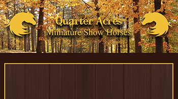 quarter_acres_back_1smallweb.png