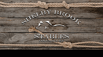 shelby_brook_back_1smallweb.png