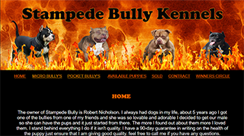 stampede_bullysnew.png